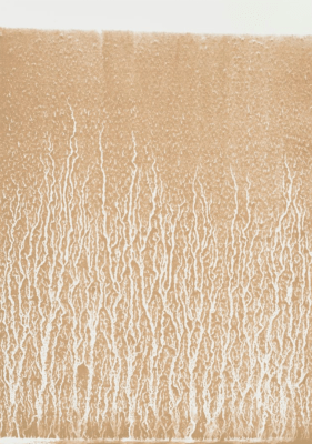 Screenshot 2025-03-04 at 4.32.23 PM